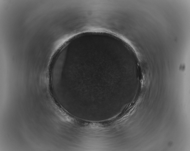 X0000096691319200802261531