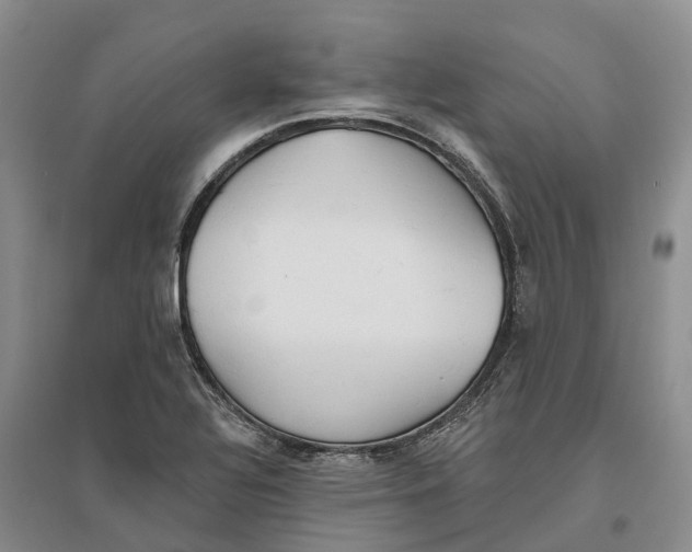 X0000096691320200802261531