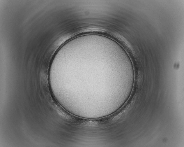 X0000096691321200802261531