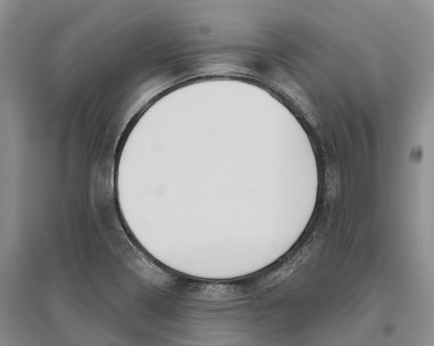 X0000096691322200802261531