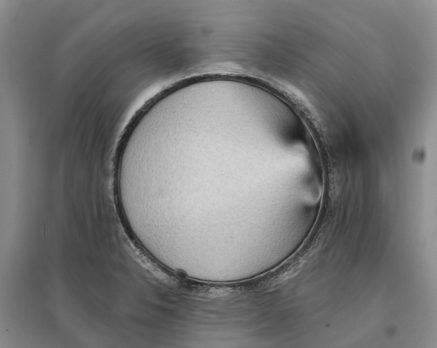 X0000096691326200802261531