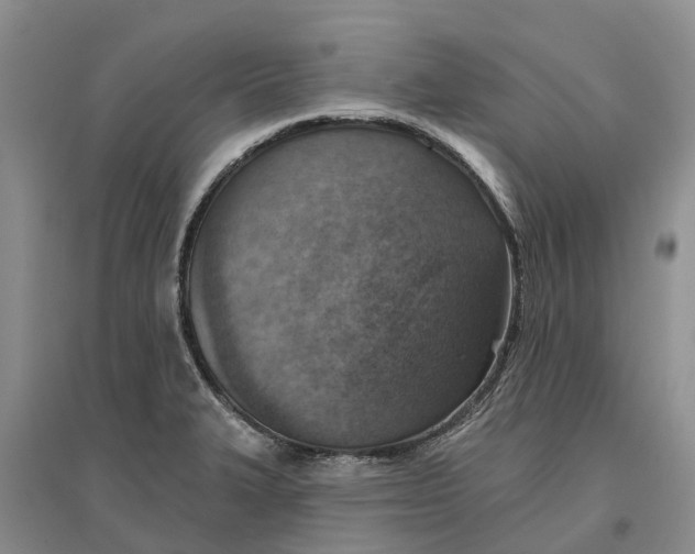 X0000096691327200802261531