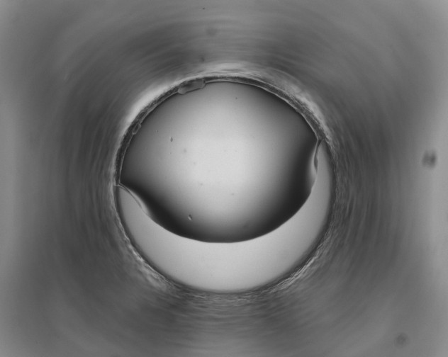 X0000096691328200802261531