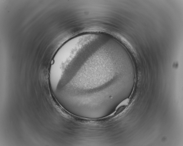 X0000096691329200802261531