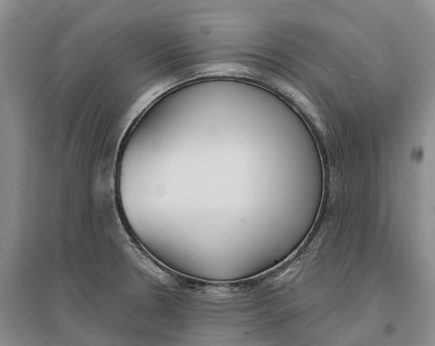 X0000096691330200802261531