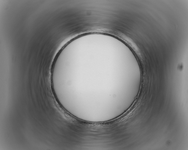 X0000096691332200802261531