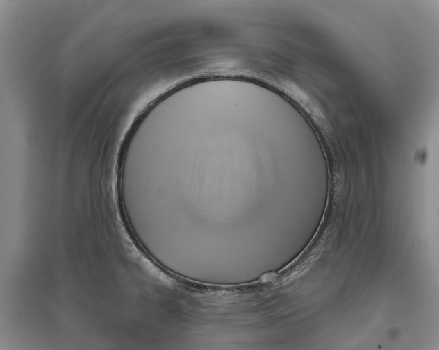 X0000096691334200802261531