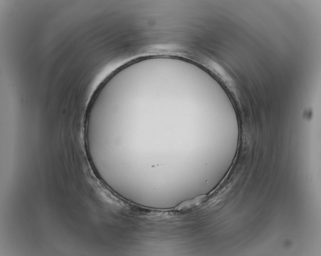 X0000096691336200802261531