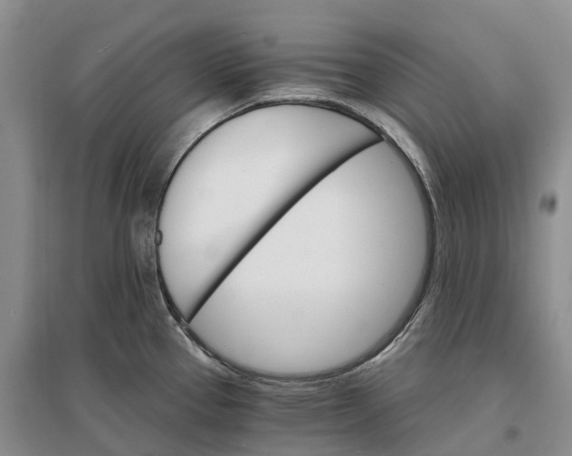 X0000096691337200802261531