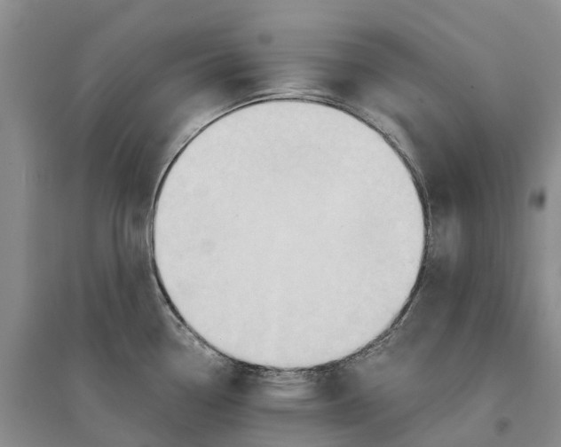 X0000096691338200802261531