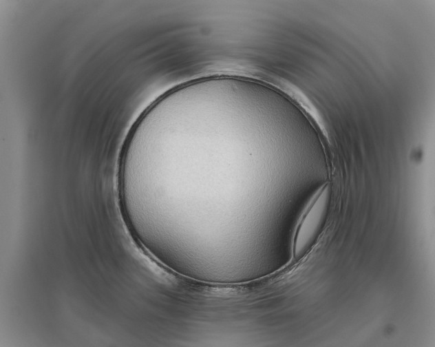 X0000096691339200802261531