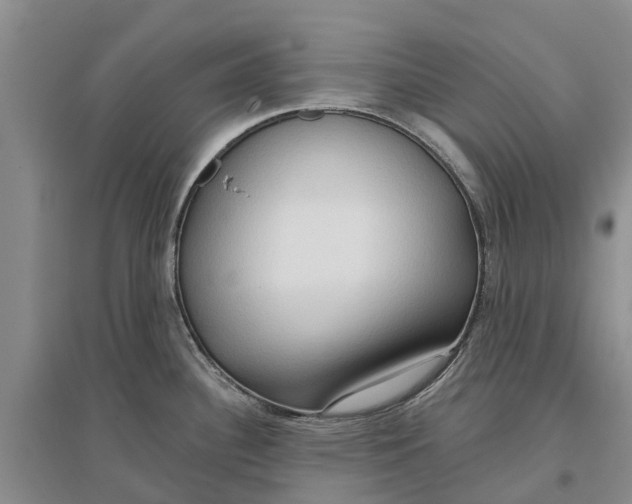 X0000096691340200802261531