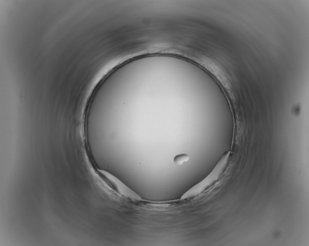 X0000096691342200802261531