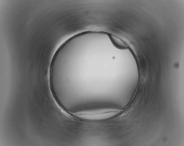 X0000096691343200802261531