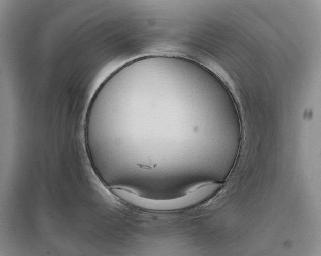 X0000096691344200802261531