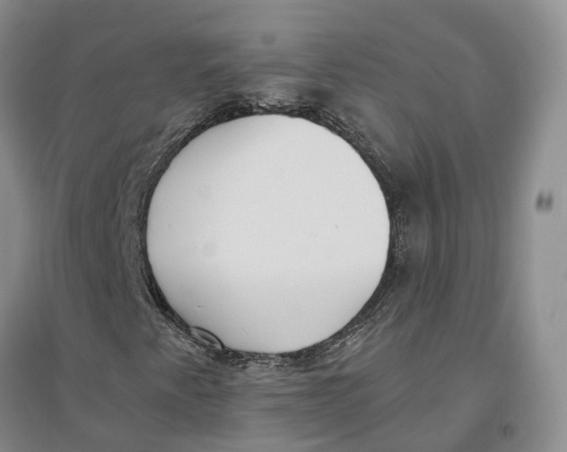 X0000096691345200802261530