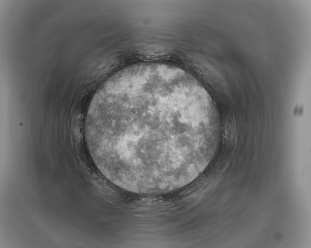 X0000096691346200802261530