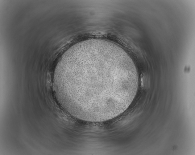 X0000096691347200802261530