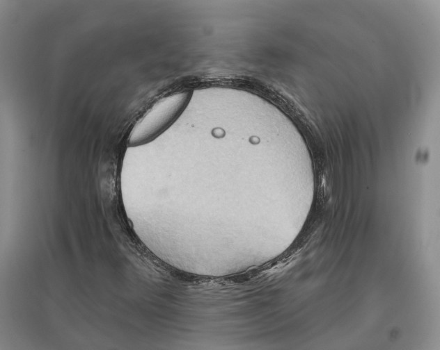 X0000096691348200802261530