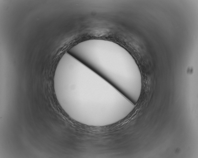 X0000096691349200802261530