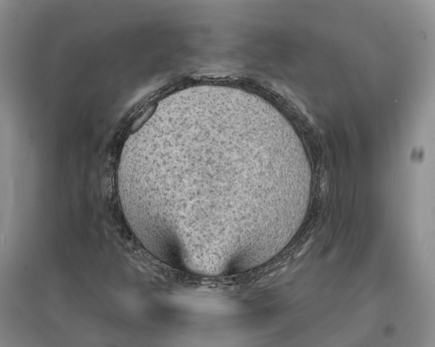 X0000096691350200802261530