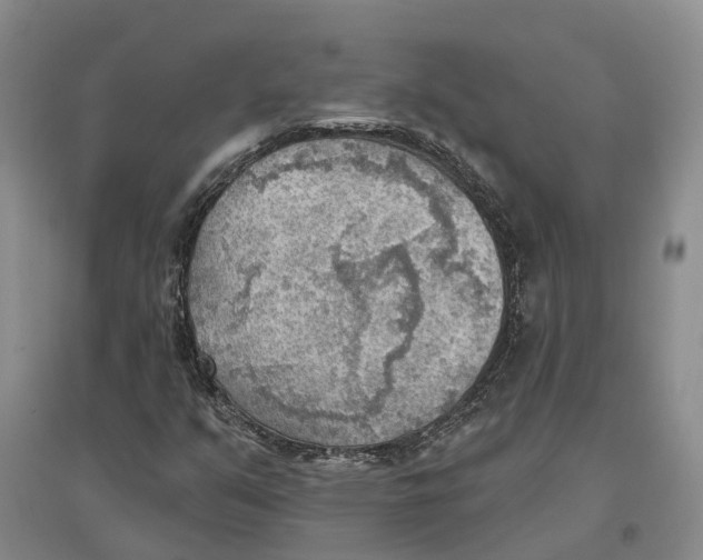 X0000096691351200802261530