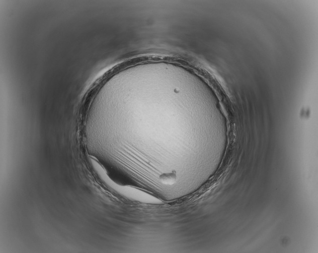 X0000096691352200802261530