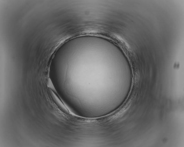 X0000096691353200802261530