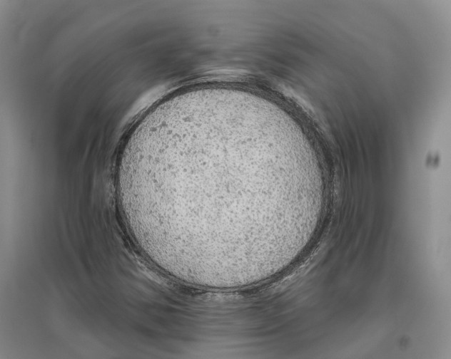 X0000096691354200802261530