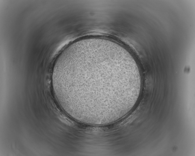 X0000096691355200802261530