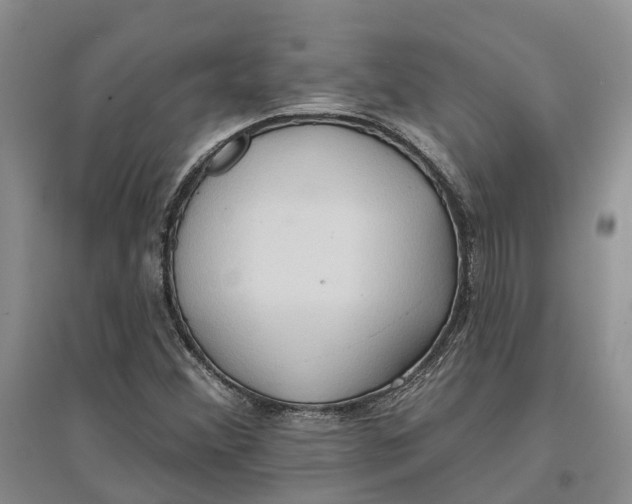 X0000096691356200802261530