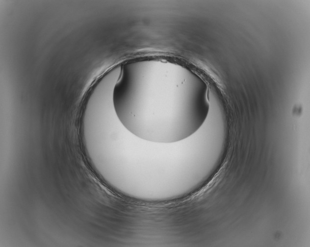 X0000096691357200802261530