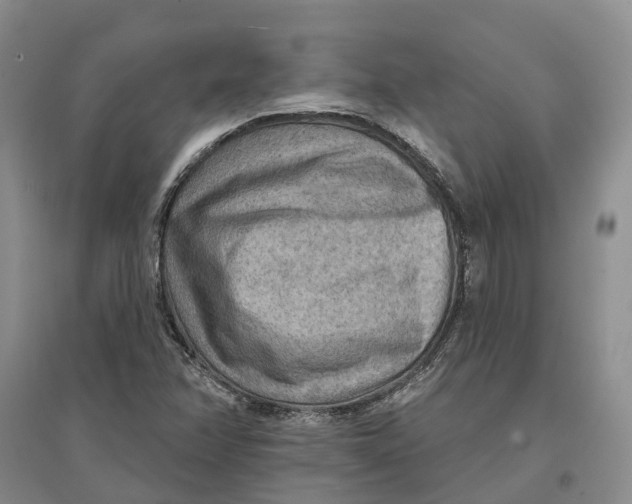 X0000096691358200802261530