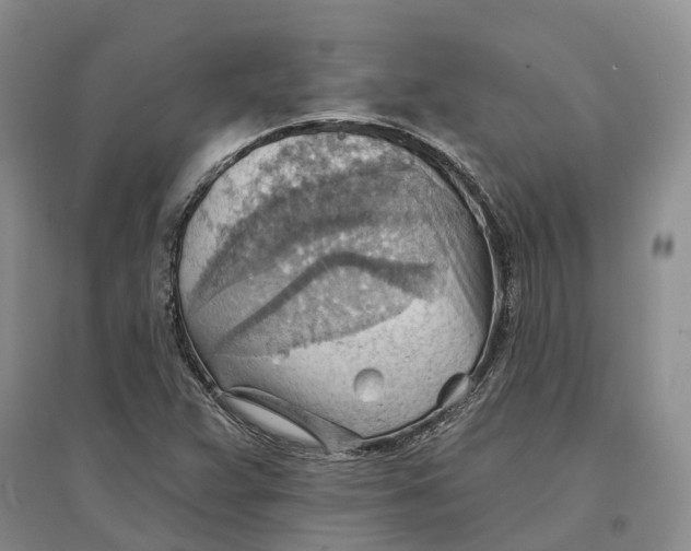 X0000096691359200802261530