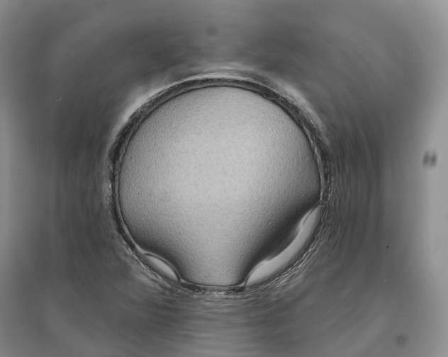 X0000096691360200802261530