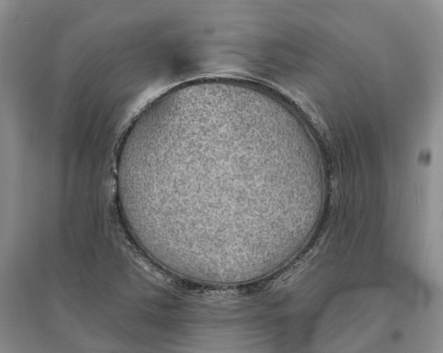 X0000096691363200802261530