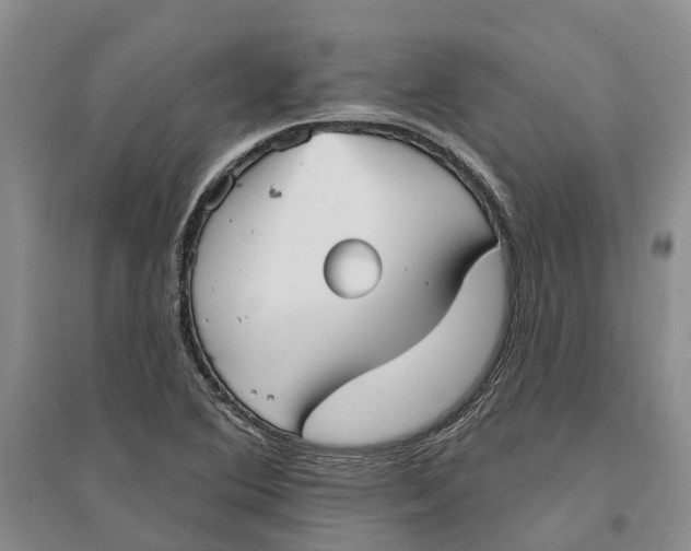 X0000096691364200802261530