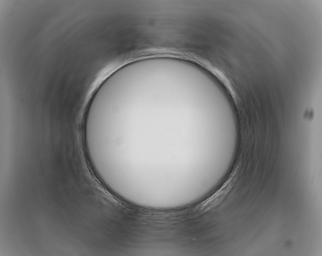 X0000096691365200802261530