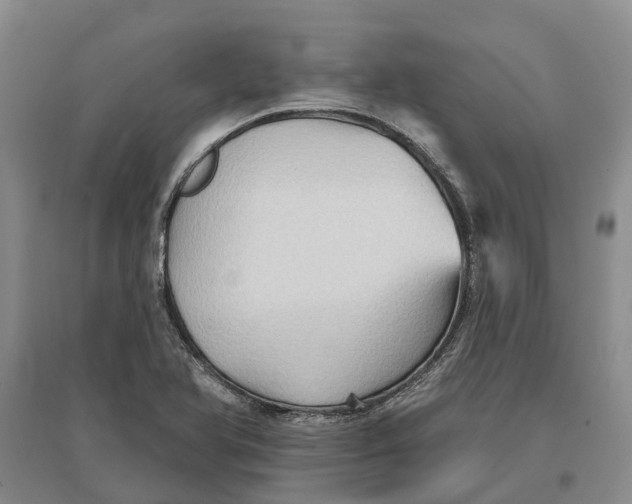 X0000096691366200802261530