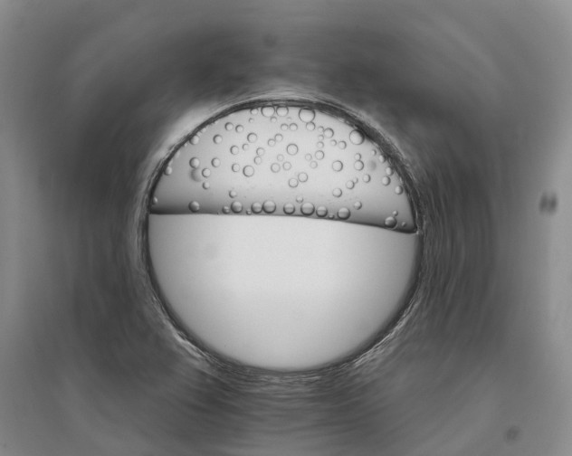 X0000096691367200802261530