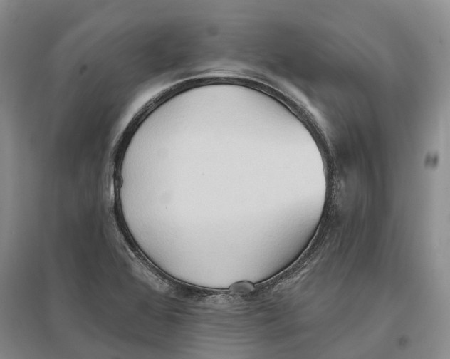 X0000096691368200802261530