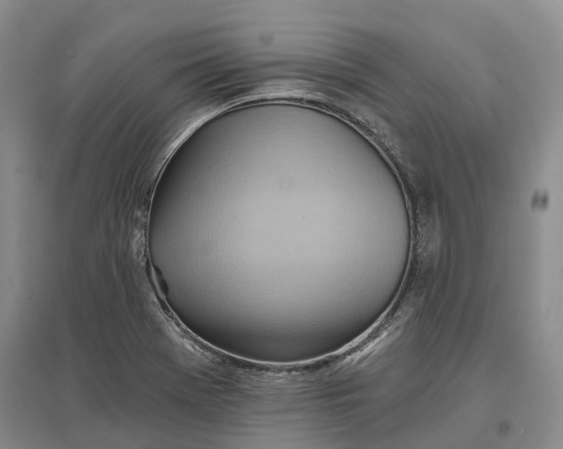 X0000096691369200802261530