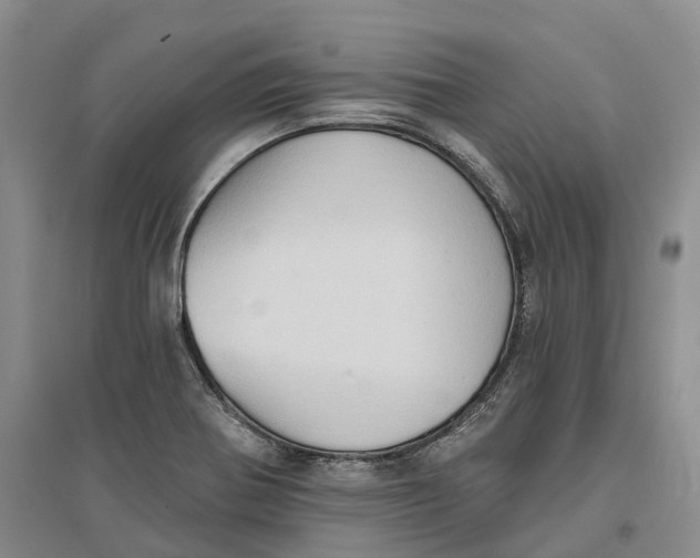 X0000096691370200802261530