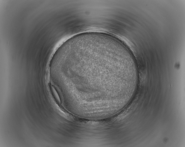 X0000096691371200802261530