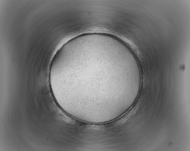 X0000096691374200802261530