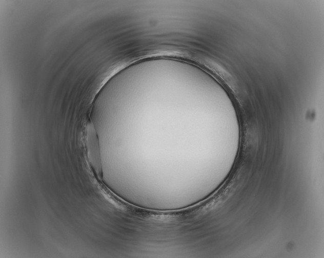 X0000096691377200802261530