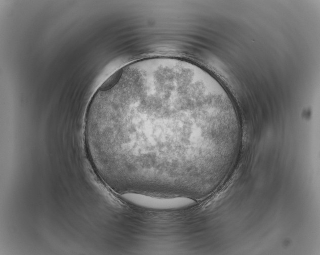 X0000096691378200802261530