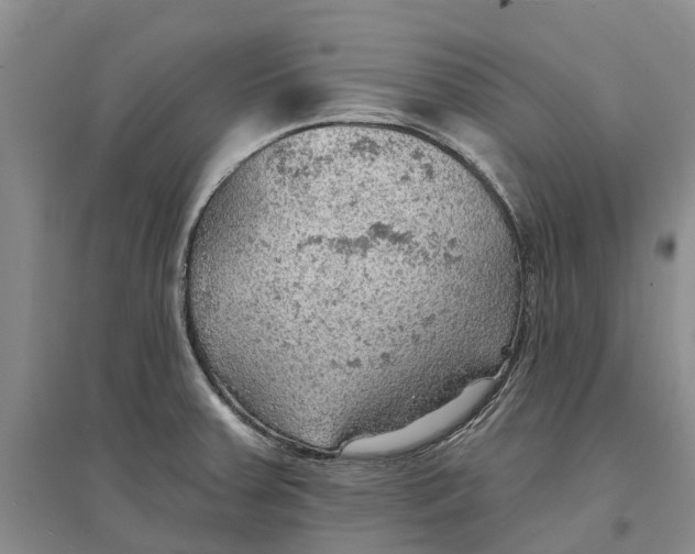 X0000096691379200802261530