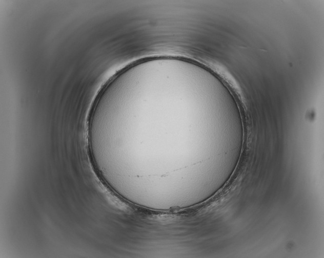 X0000096691380200802261530