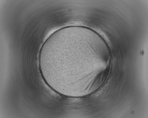 X0000096691382200802261530